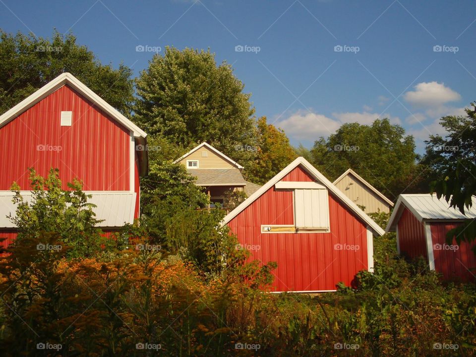 Red barns farm