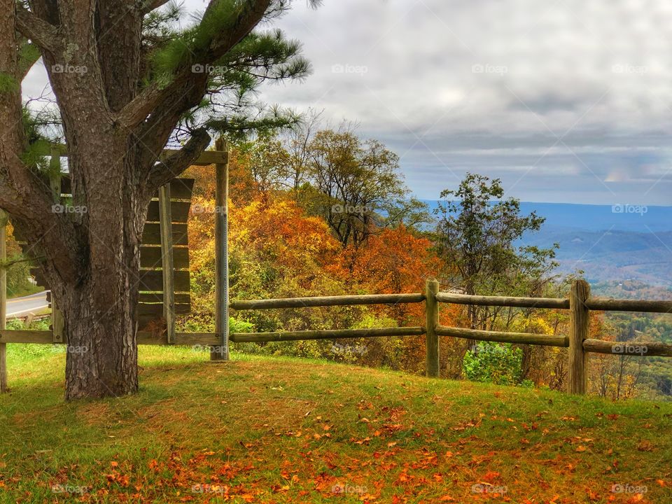 Fall in the Ozark Mountains 