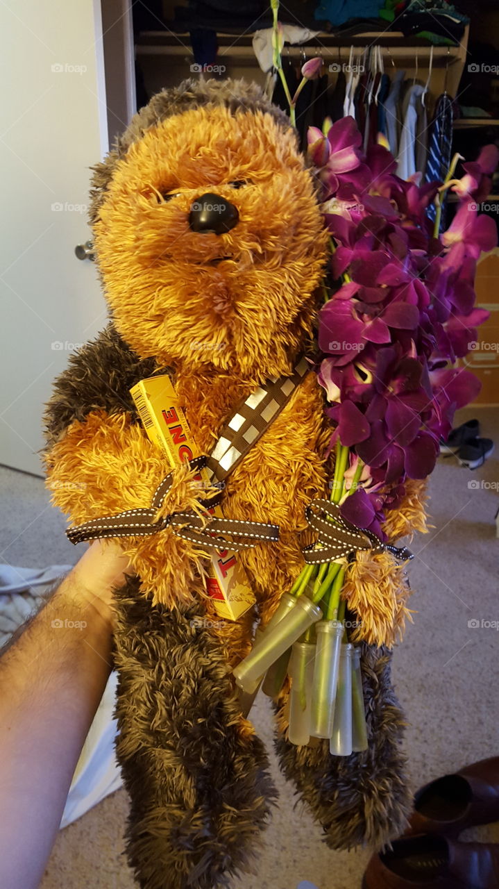 Chewie Valentine's Day gift
