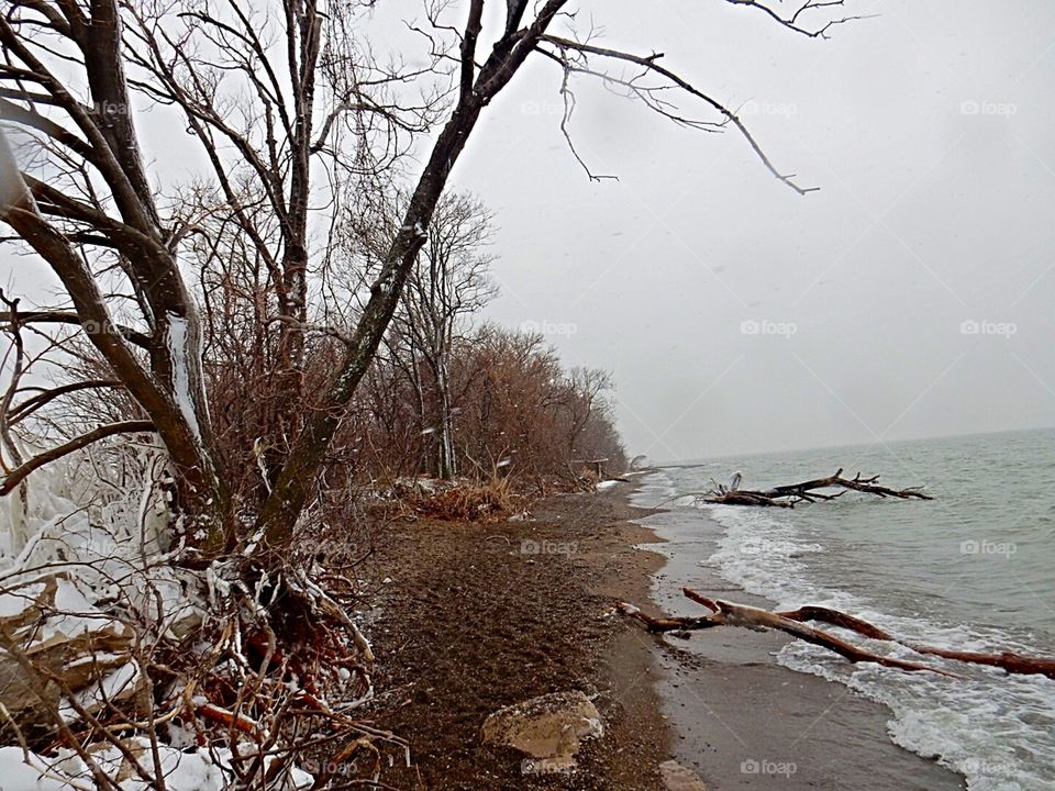 Point Pelee national park in Winter 2016