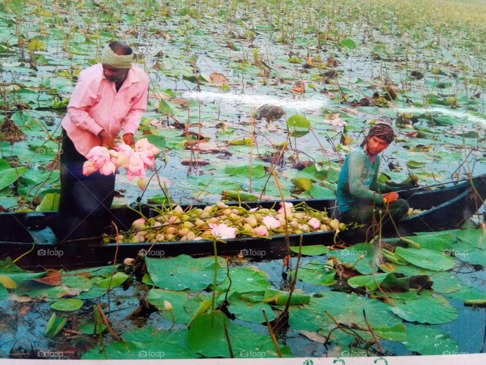 Flower picking