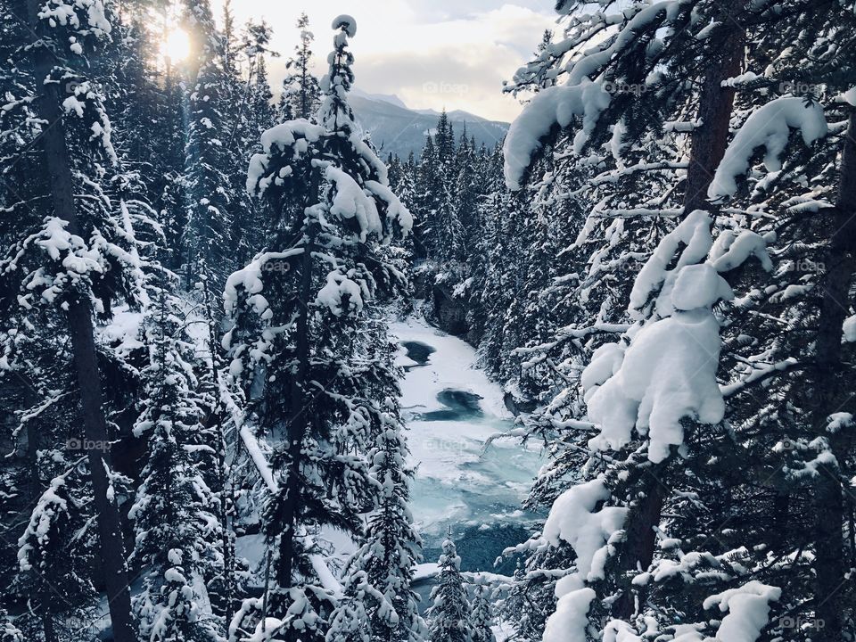 Johnson’s trail Banff, stillness, peace, quiet. 