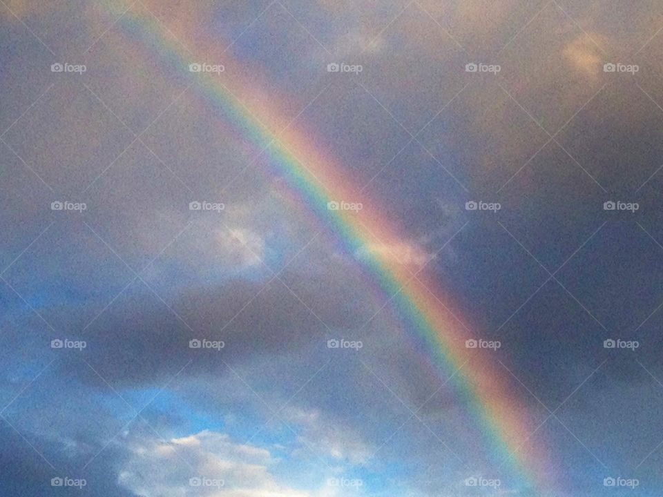 Rainbow. Rainbow 