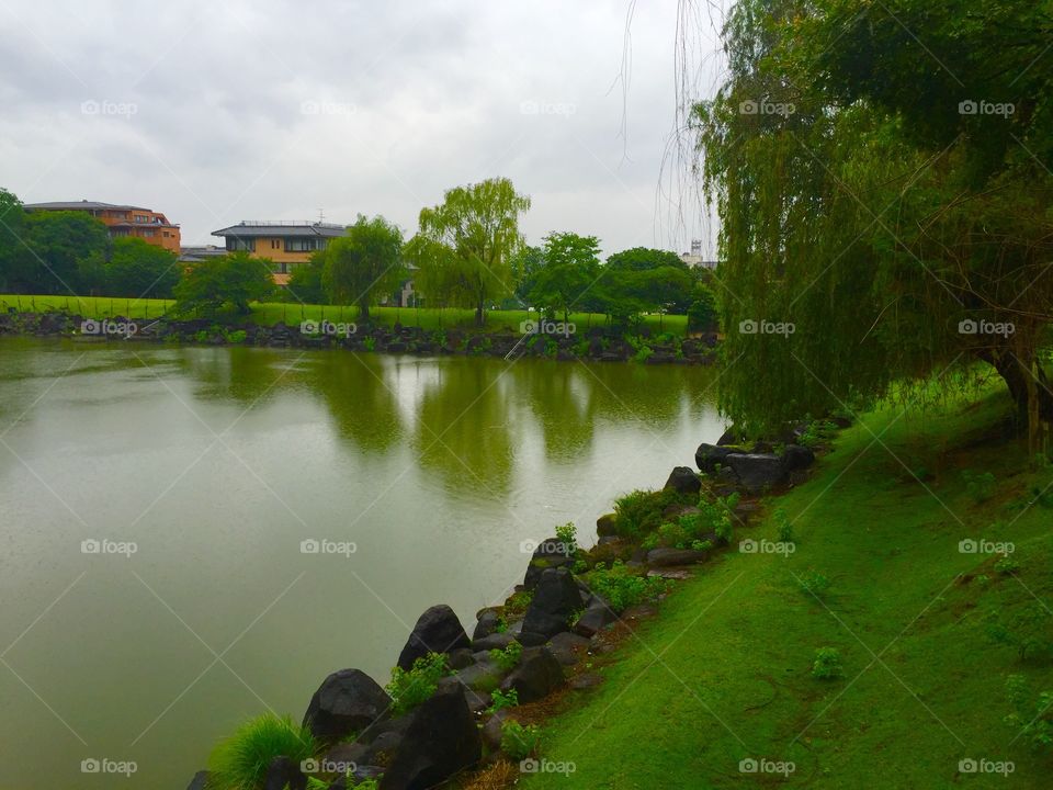 Nara Park, Nara Japan