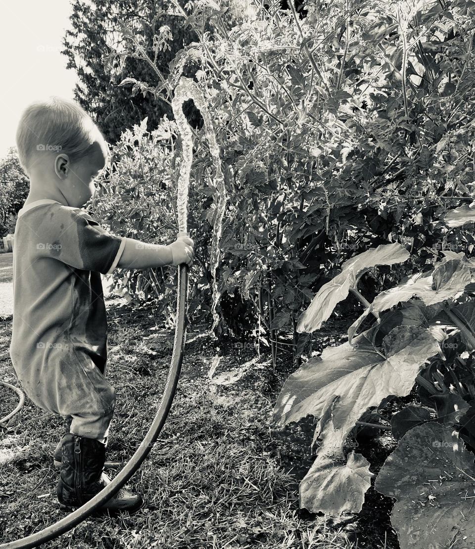 Child in Boots Watering the Garden