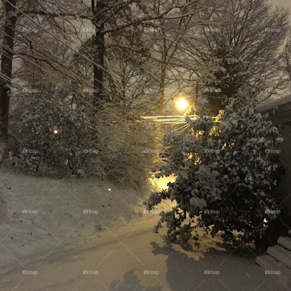 Snowy Night with Streetlight . Taken at night after a snowstorm in Knoxville, TN. 