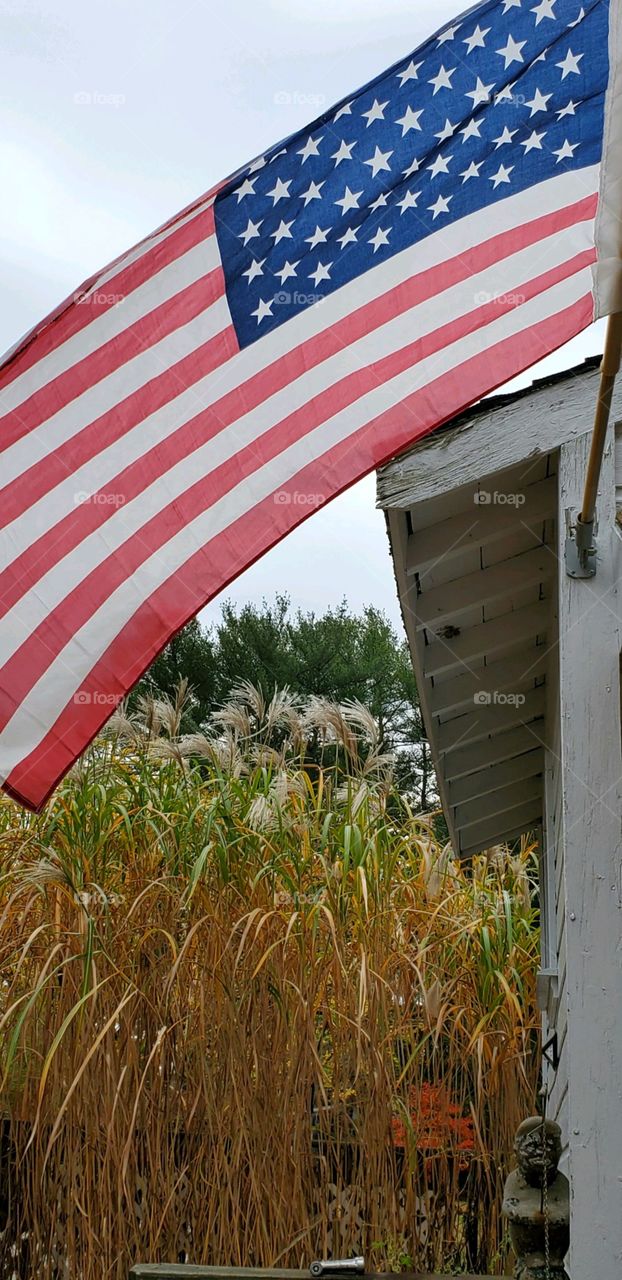American Flag 🇺🇸 waving from low roof over decorative grasses against a gray sky.