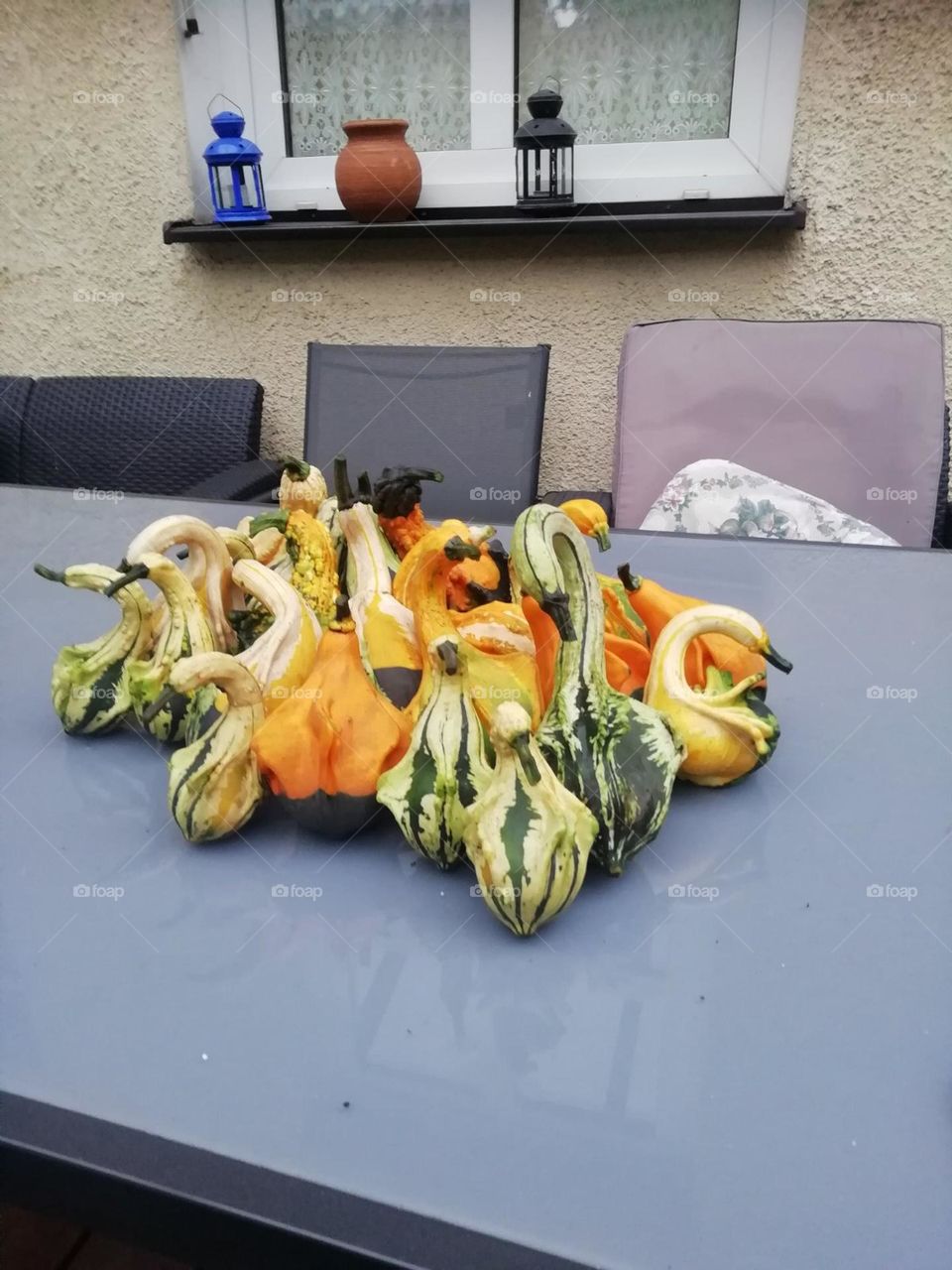 editors Choice photo on the week