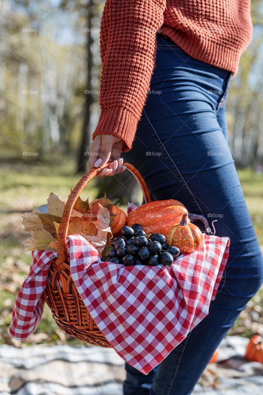 picnic in the park