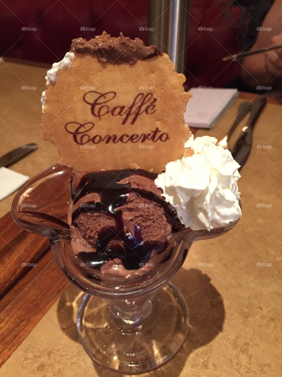 The Best Dessert Ever! A Chocolate Sundae!