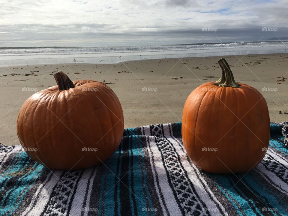 Pumpkins on a beach 