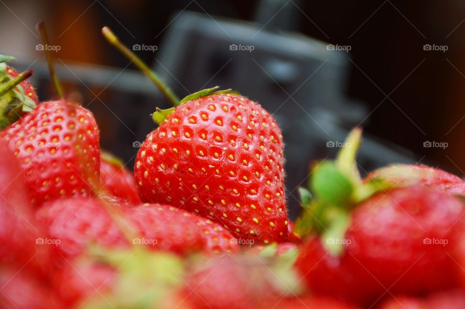 The strawberry . The strawberry 