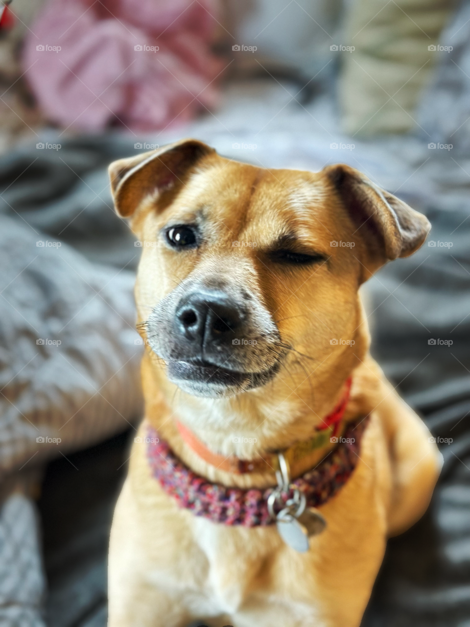 Penny for your thoughts?