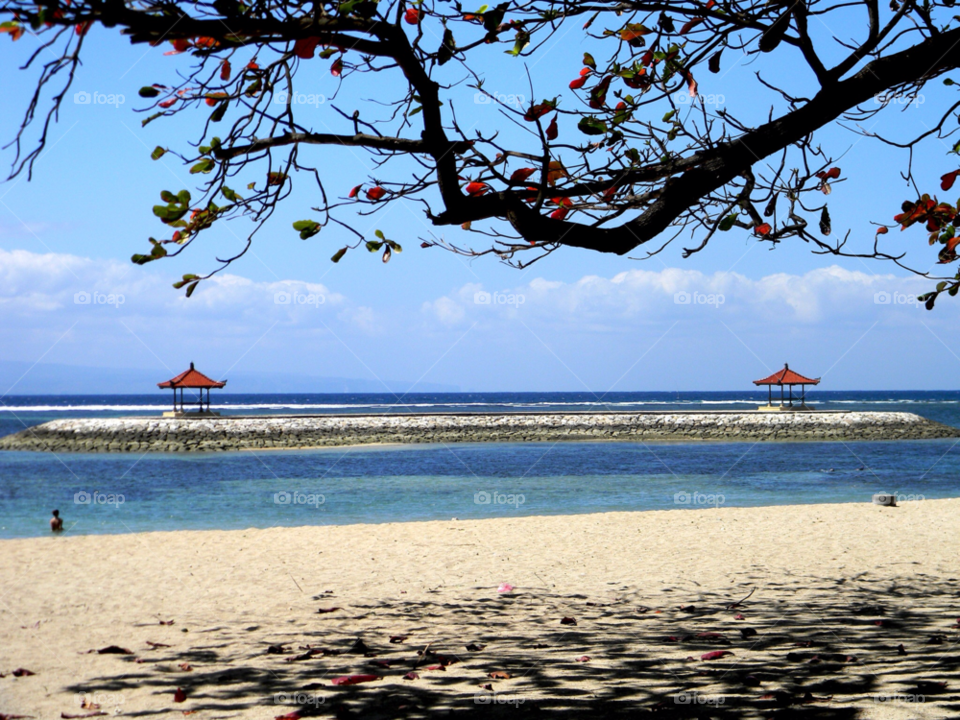blue tree sunshine bali by brunhilda