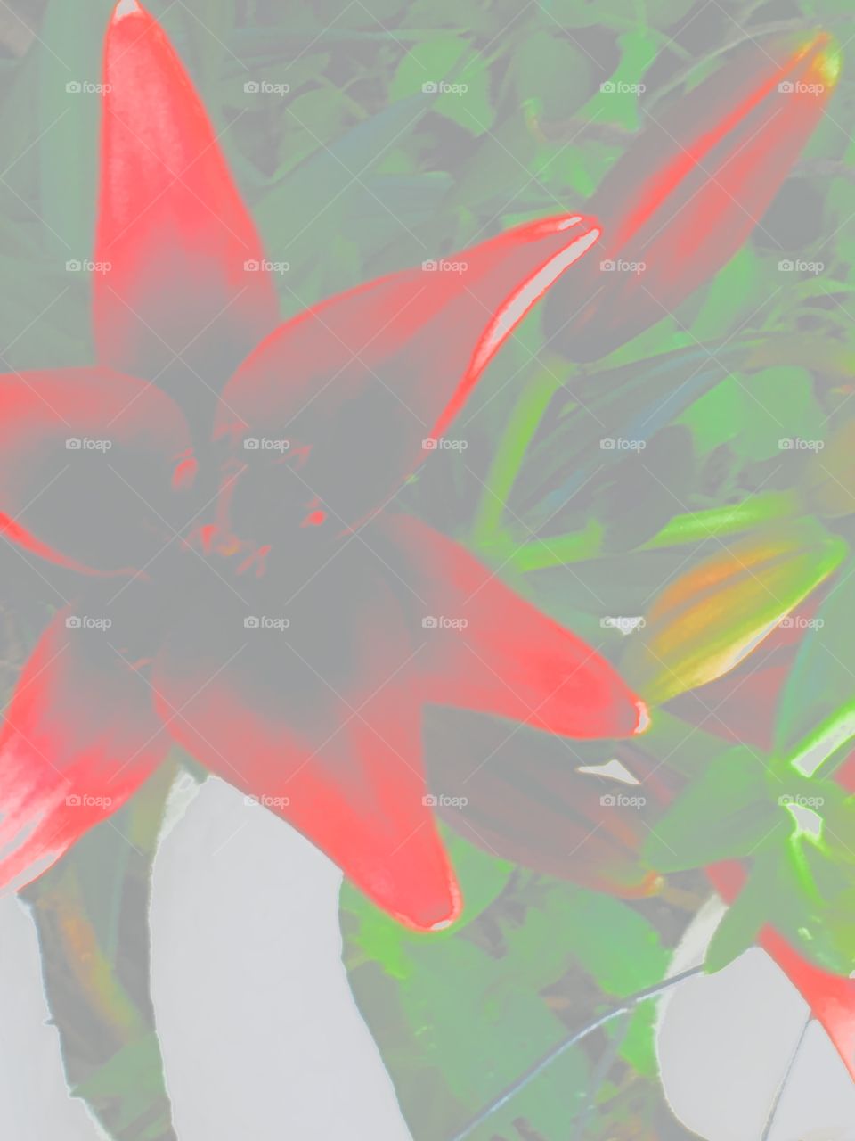 Day Lilly playing with the brightness and contrast in my phone to make it look like it does.