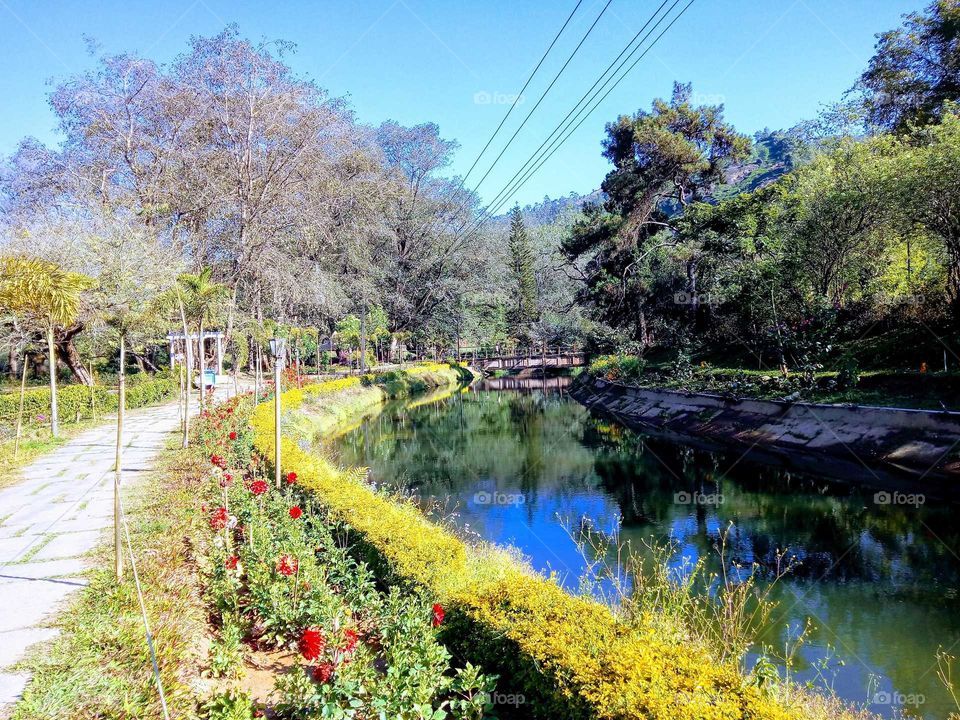 beautiful garden with water