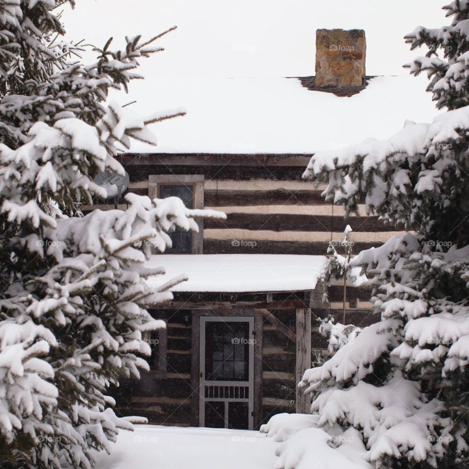 Winter, Snow, No Person, Tree, House