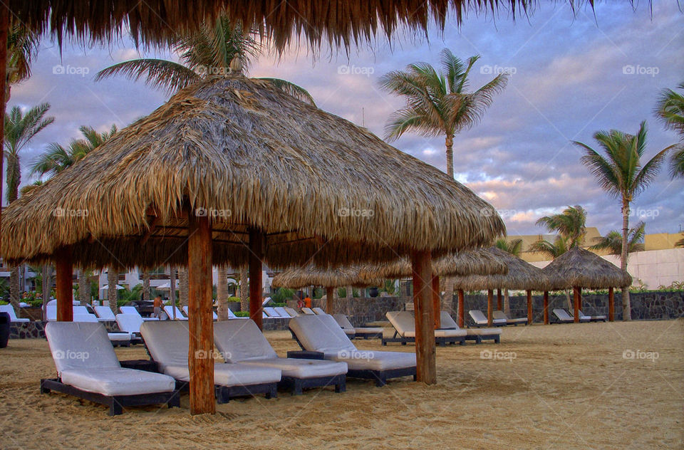 beach sky palm relax by darrellperry