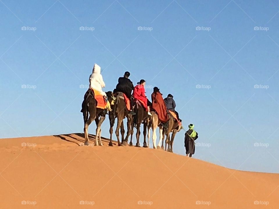 camel ride in Africa