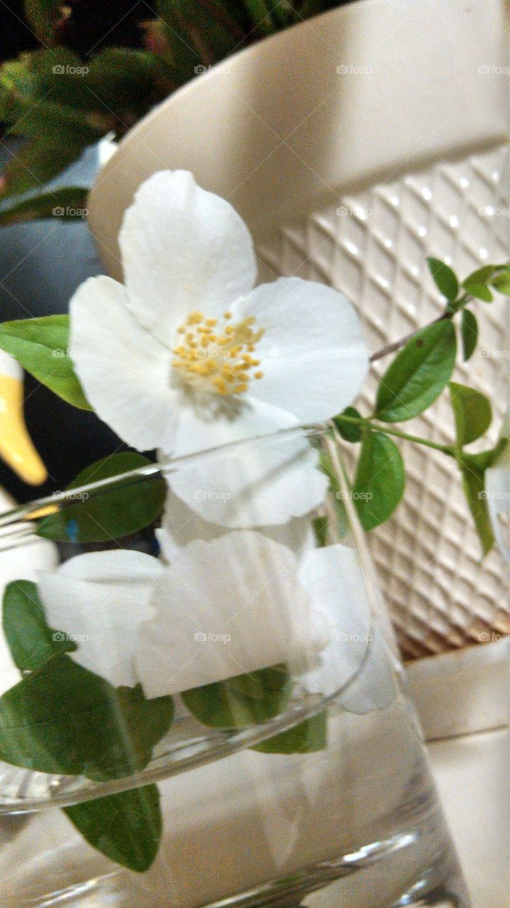 white flower