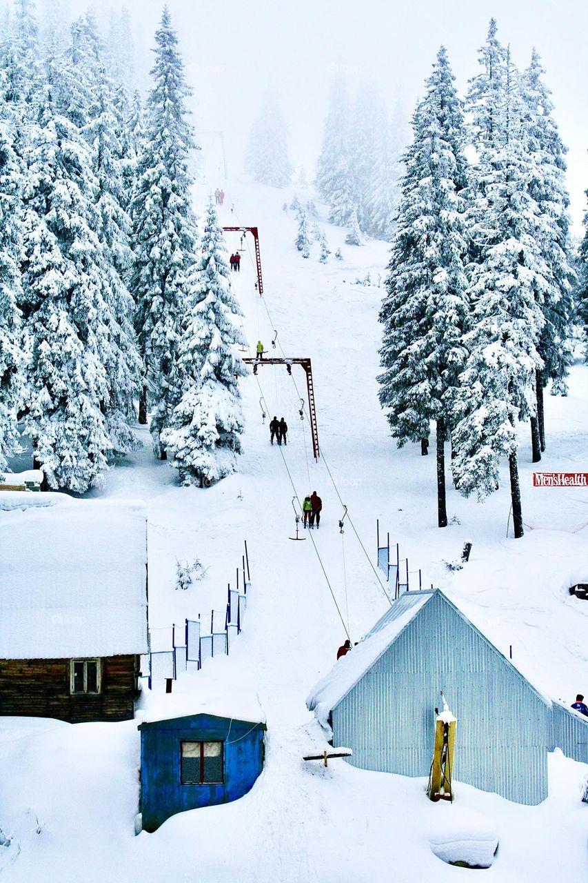 Лыжный курорт в Карпатах