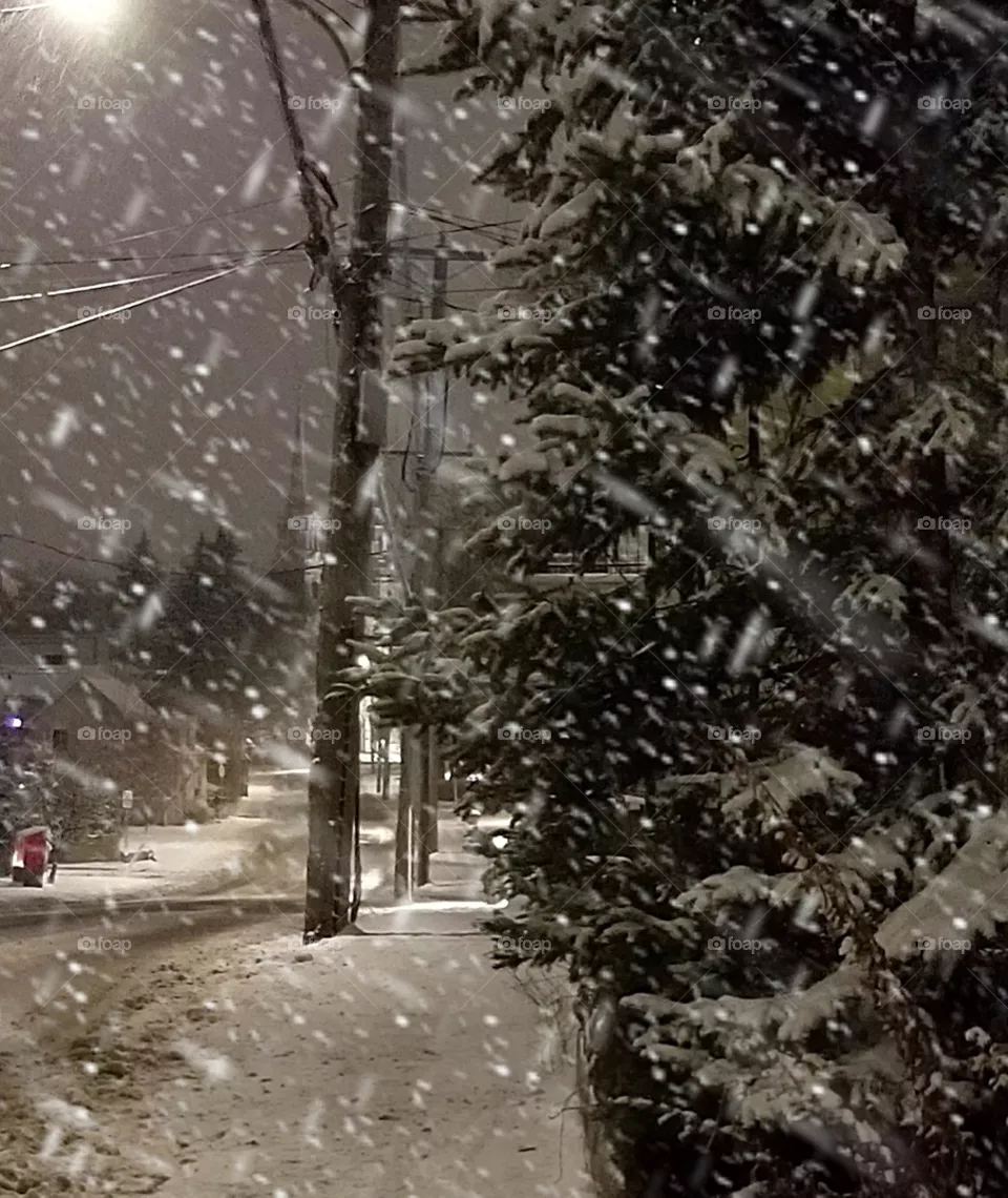 Winter's night...