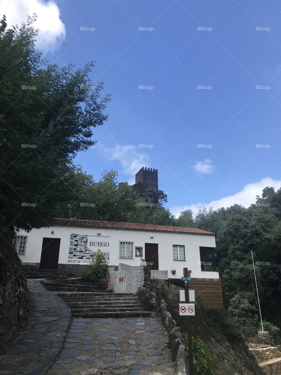 Burgo 