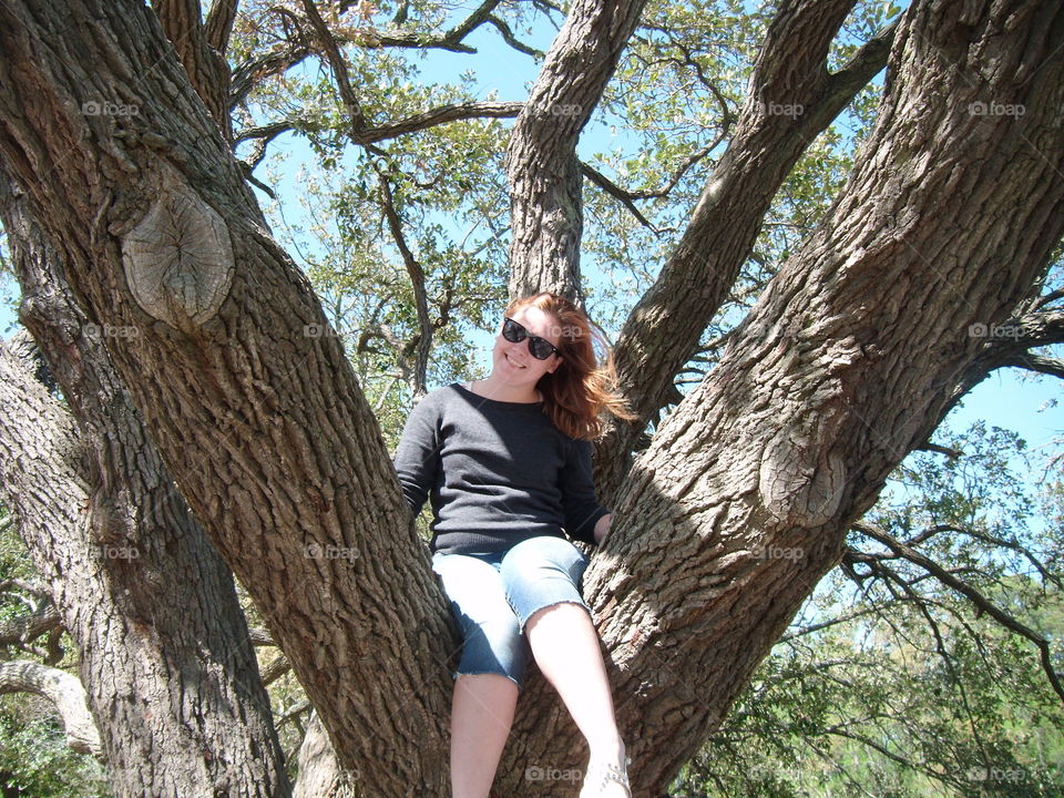 In a tree