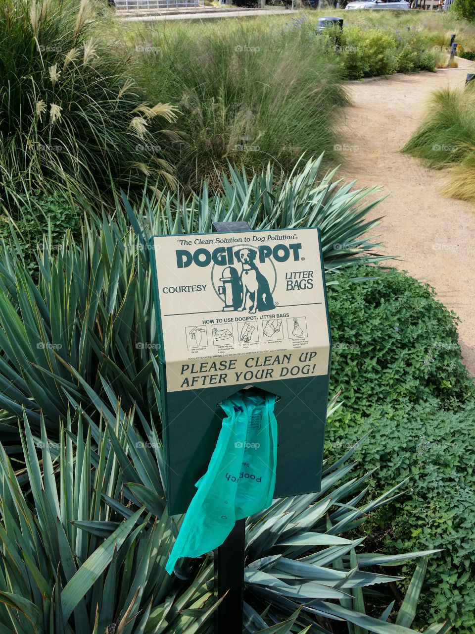 Dog Pot in the Park