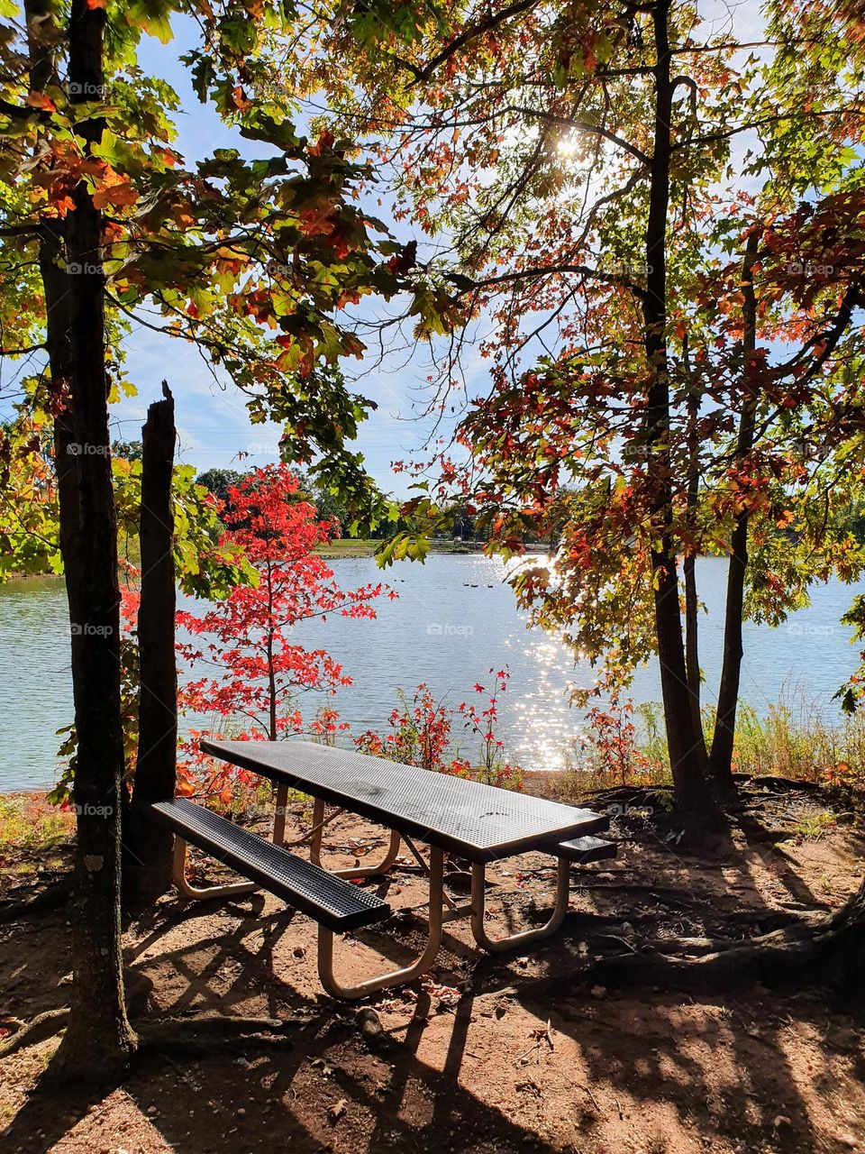 Autumn lake