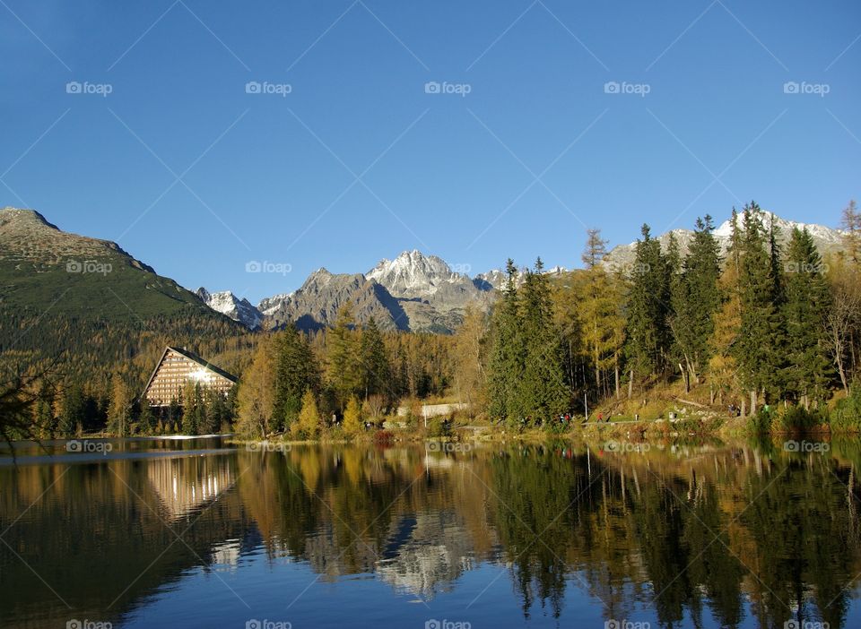 Trees reflecting on lake