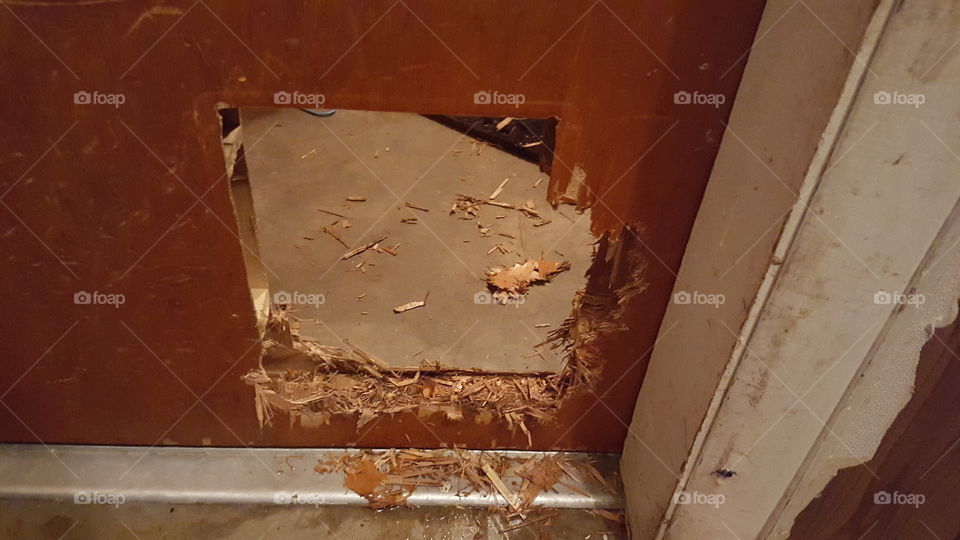 Pitbull retro fits cat door. .