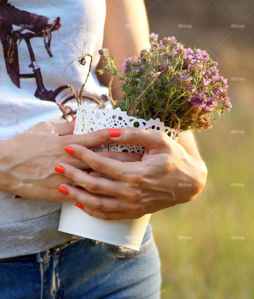 Bunch of field wild flowers in hands with manicure
