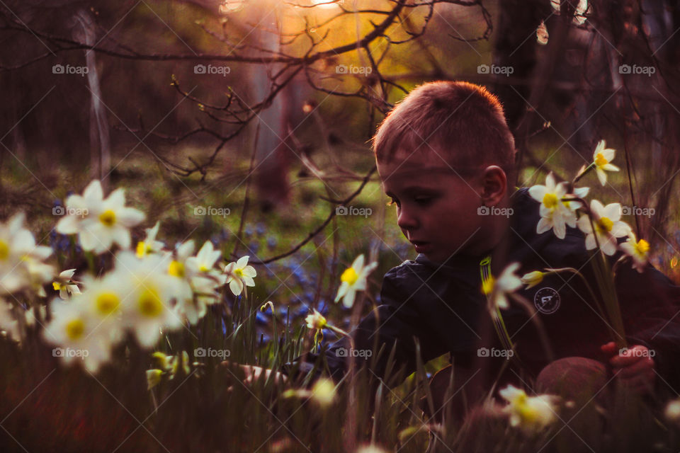 boy ​vomits daffodils at sunset