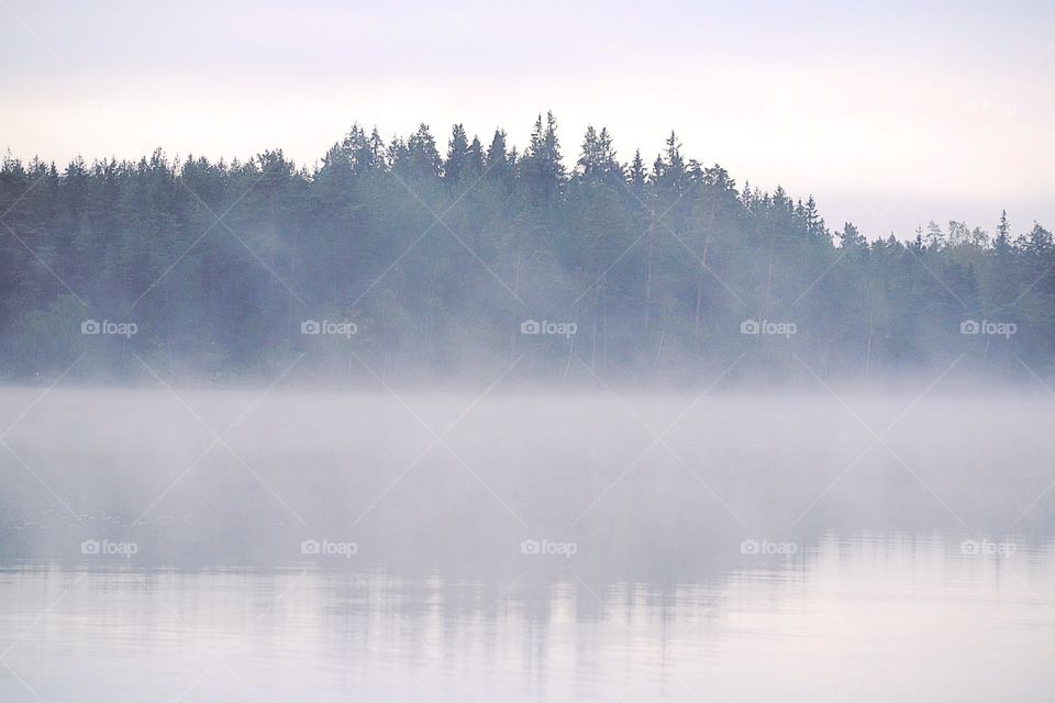 Foggy lake