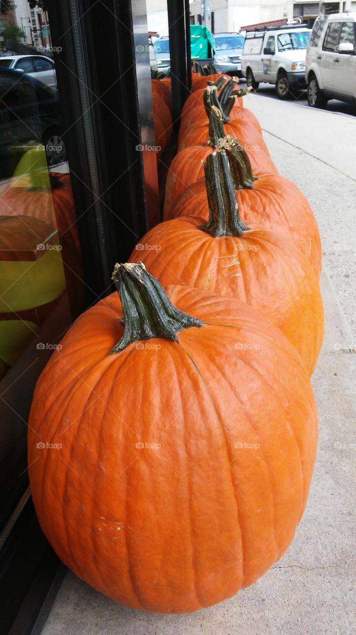 Pumpkin, Halloween, No Person, Fall, Thanksgiving