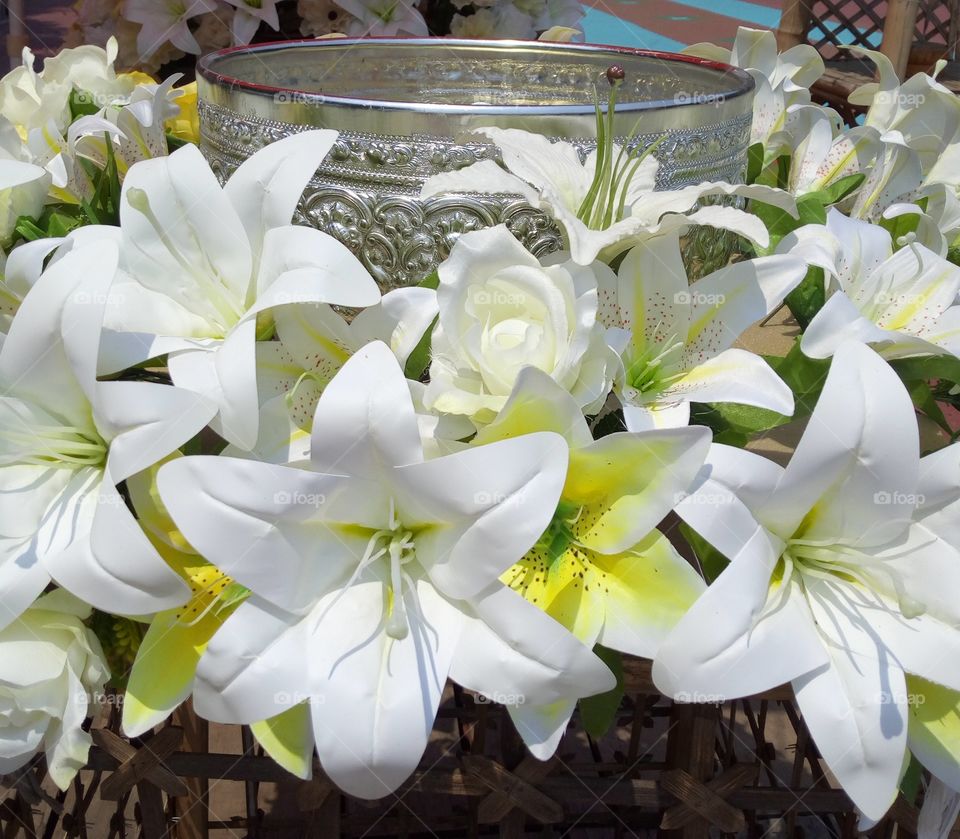 Bright white flowers