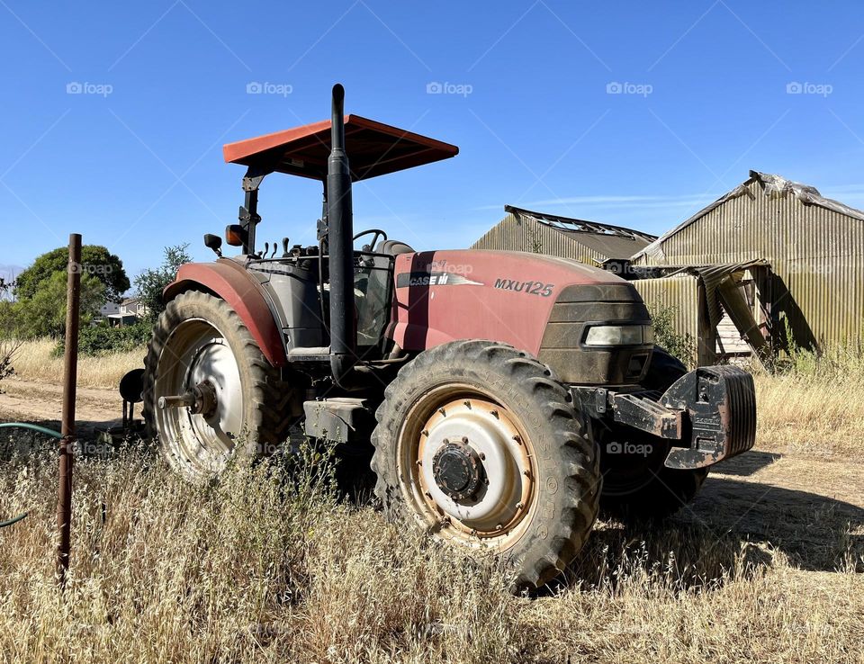 A large, red tractor sits among the dry weeds at the farm.  A clear day for farming the crops
