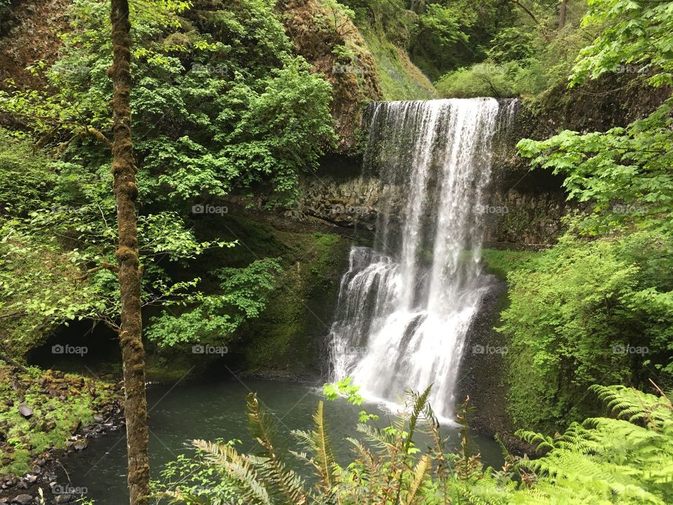 Oregon 10 falls trail