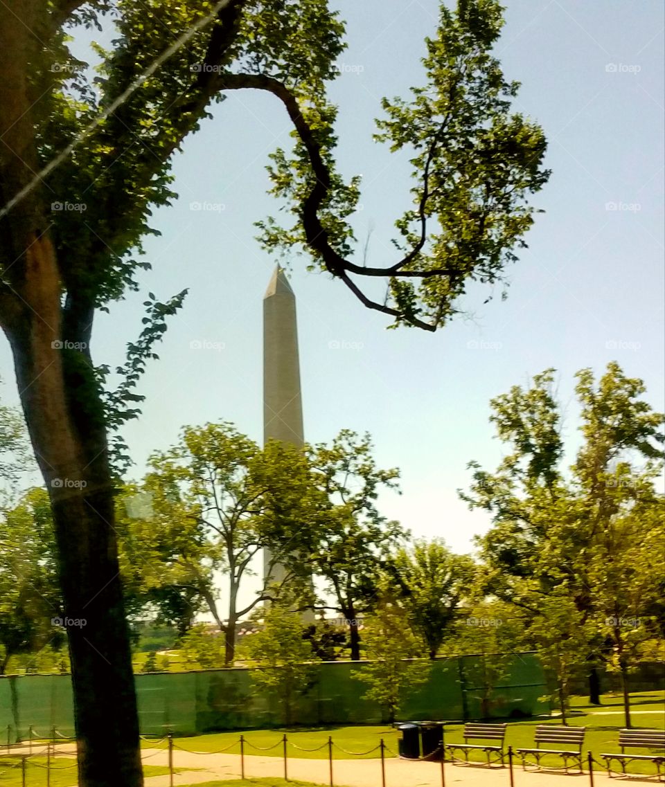 Washington Monument