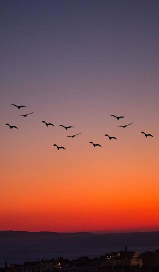 the 🐦 birds eye view sunsets .Beautiful of nature
