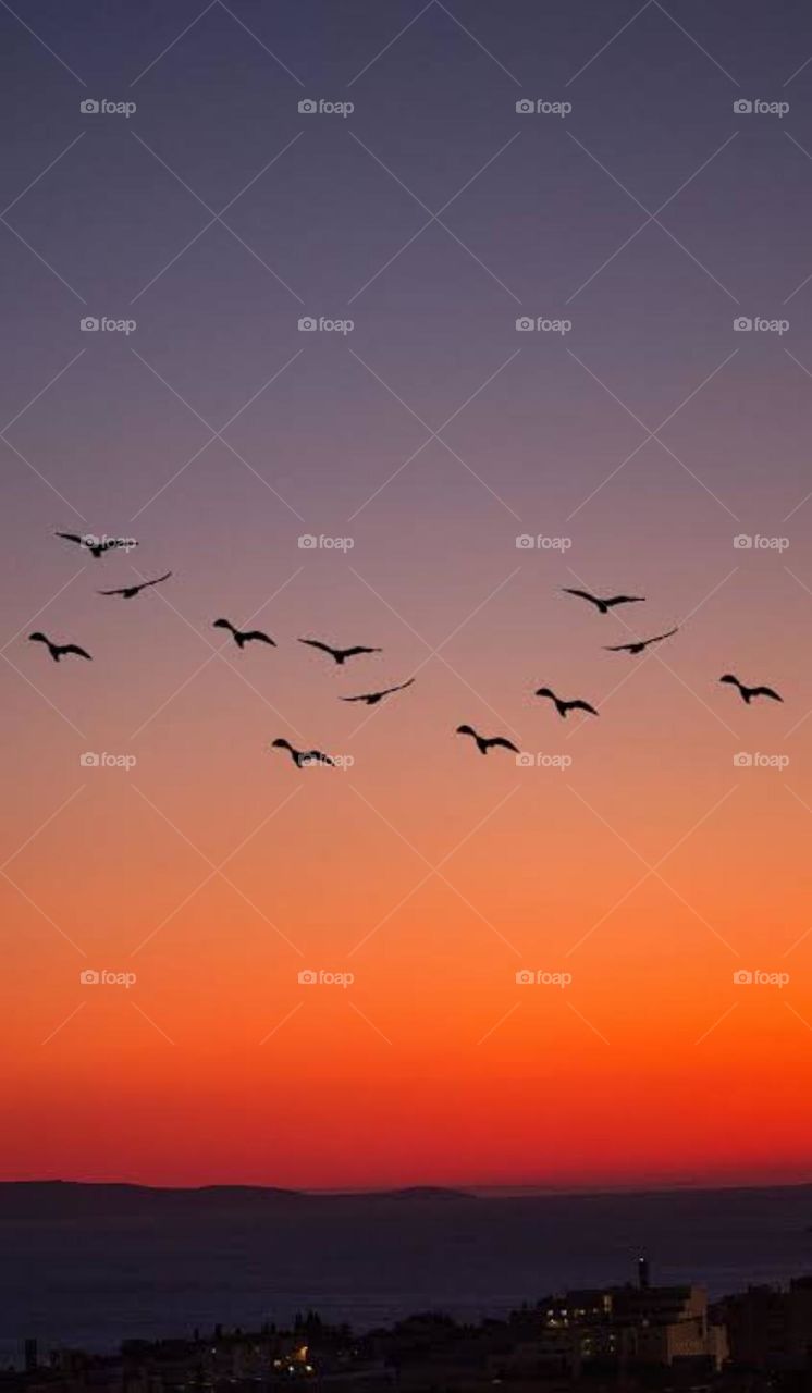 the 🐦 birds eye view sunsets .Beautiful of nature