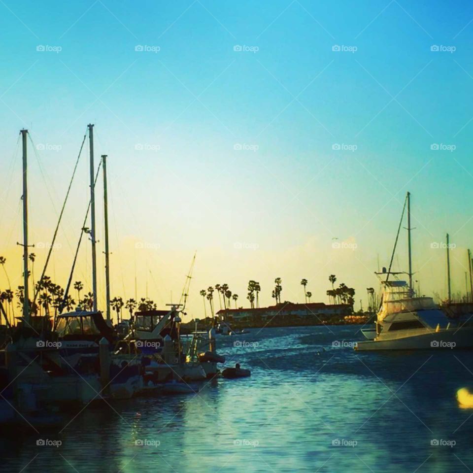 Oceanside Harbor California. Beauty and the Boats.