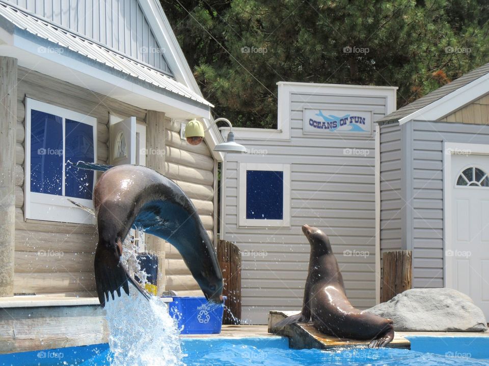 Sonoma's front flip featuring Makaia 