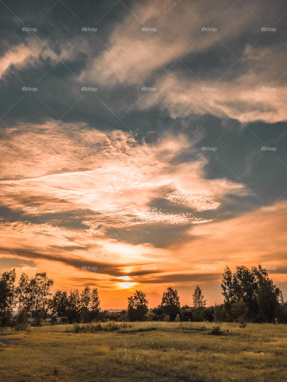 sunset in Russian field