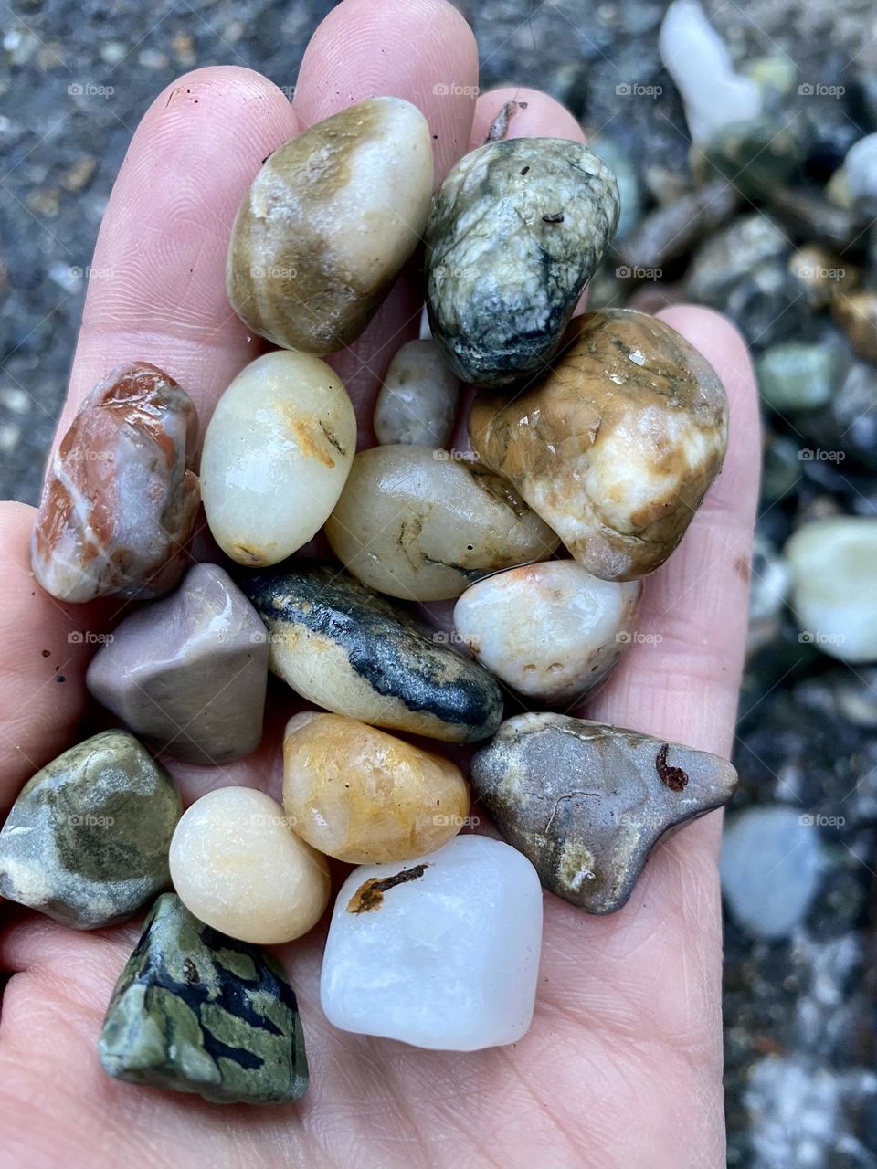 Beach agates 