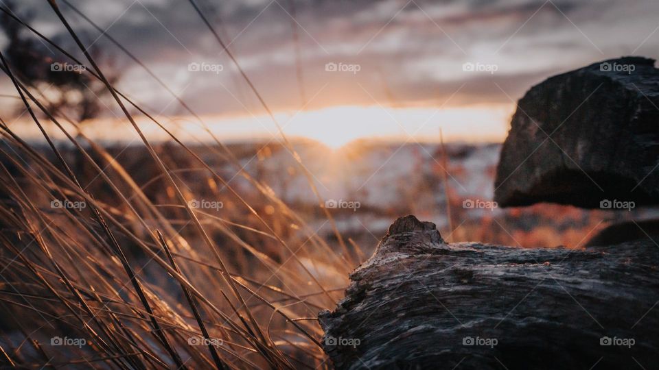 Aesthetic macro of snowy plains