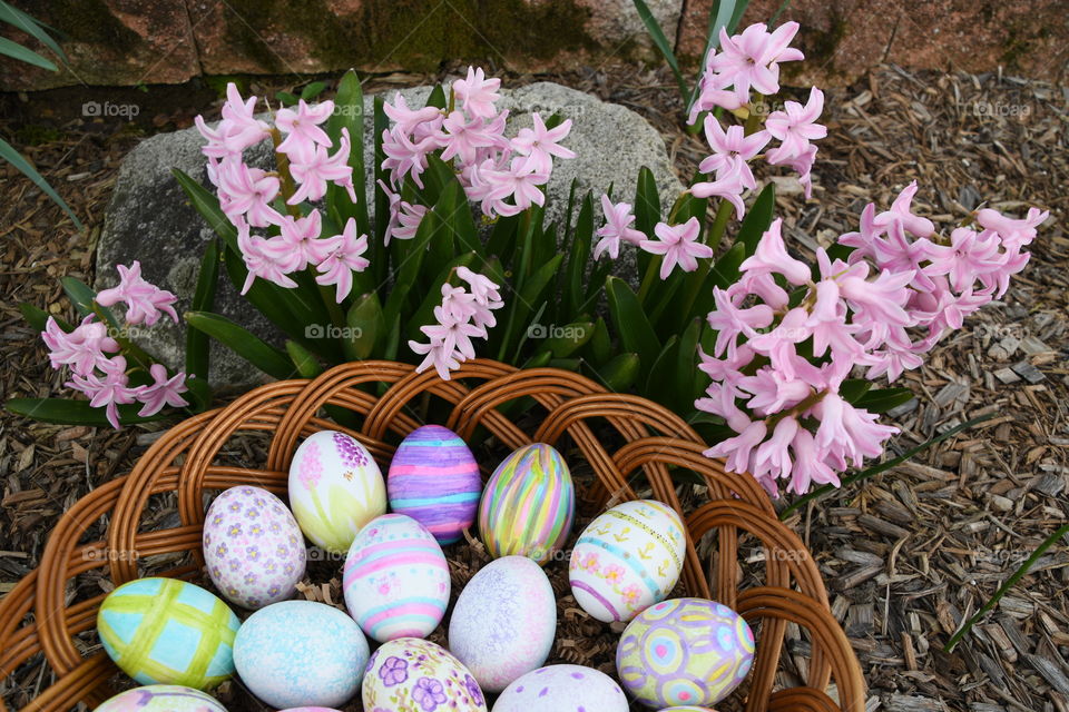 hand painted Easter eggs in basket by pink hyacinths