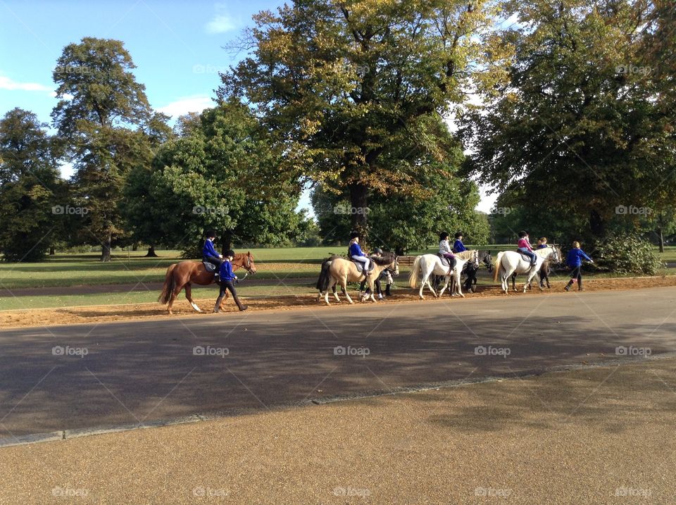 Little knights on horses in the morning at the Hyde park London 