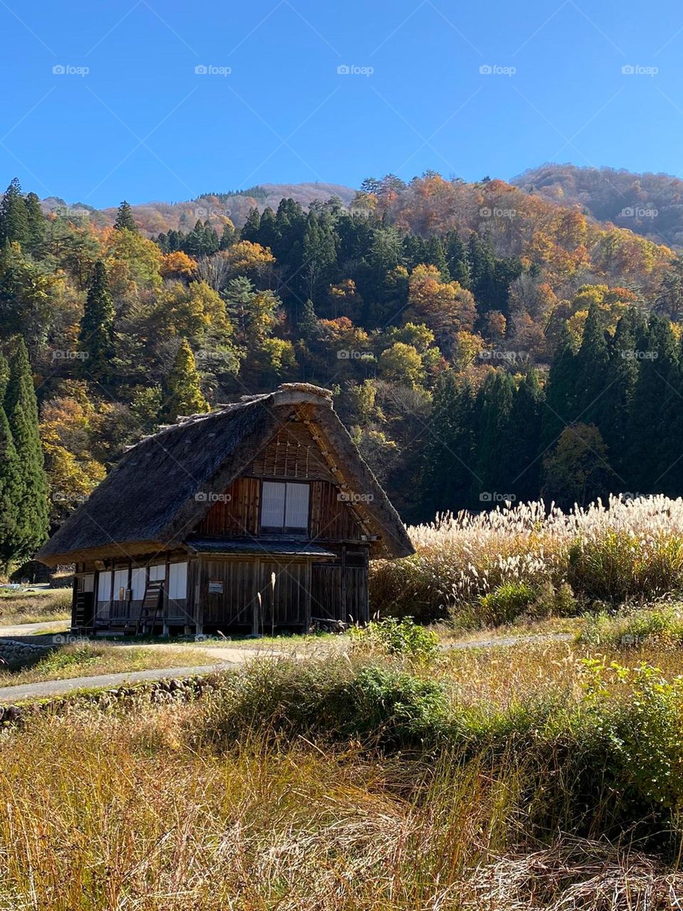 japanese pyrenees